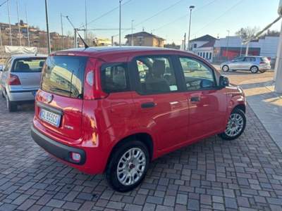 Fiat Panda 1.0 FireFly S&S Hybrid Rosso usata Guarene