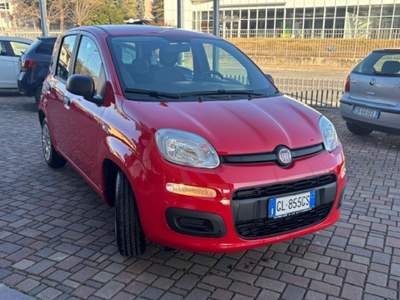 Fiat Panda 1.0 FireFly S&S Hybrid Rosso usata Guarene
