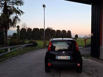 Fiat Panda 1.2 Lounge Nero usata Schiavon