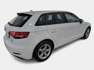 Audi A3 2.0 TDI Business Bianco usata Alcamo