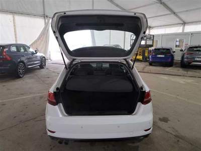 Audi A3 2.0 TDI Business Bianco usata Alcamo