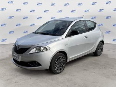 Lancia Ypsilon 1.0 firefly hybrid Gold s&s 70cv Argento usata Pistoia
