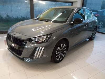 Peugeot 208 PureTech 100 Stop&Start 5 porte Active Grigio usata Canino