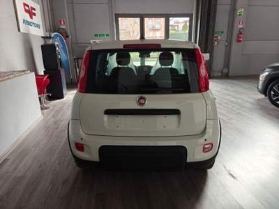 Fiat Panda 1.0 FireFly S&S Hybrid Pandina Bianco usata San Nicola Manfredi