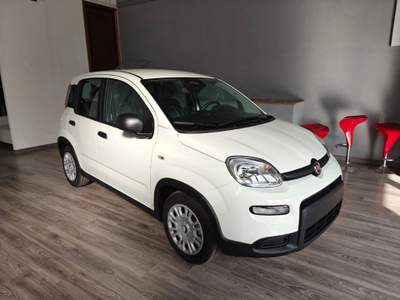 Fiat Panda 1.0 FireFly S&S Hybrid Pandina Bianco usata San Nicola Manfredi