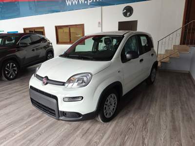 Fiat Panda 1.0 FireFly S&S Hybrid Pandina Bianco usata San Nicola Manfredi
