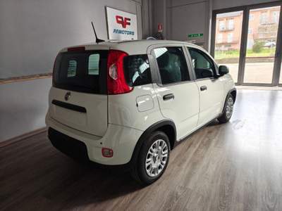 Fiat Panda 1.0 FireFly S&S Hybrid Pandina Bianco usata San Nicola Manfredi