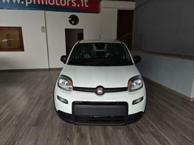Fiat Panda 1.0 FireFly S&S Hybrid Pandina Bianco usata San Nicola Manfredi