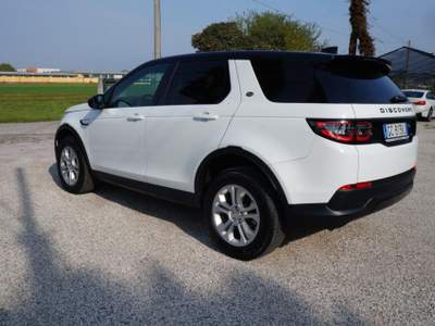 Land Rover Discovery Sport  Bianco usata Tezze sul Brenta