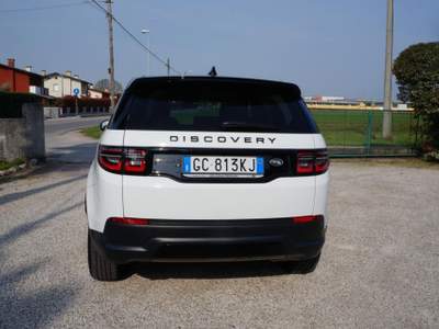 Land Rover Discovery Sport  Bianco usata Tezze sul Brenta
