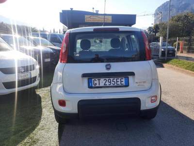 Fiat Panda 1.0 FireFly S&S Hybrid Bianco usata Arco