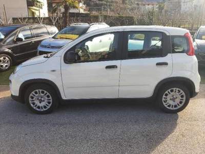 Fiat Panda 1.0 FireFly S&S Hybrid Bianco usata Arco