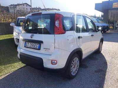 Fiat Panda 1.0 FireFly S&S Hybrid Bianco usata Arco