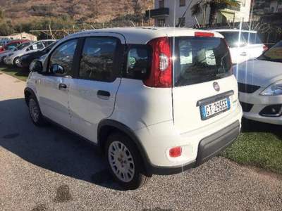Fiat Panda 1.0 FireFly S&S Hybrid Bianco usata Arco