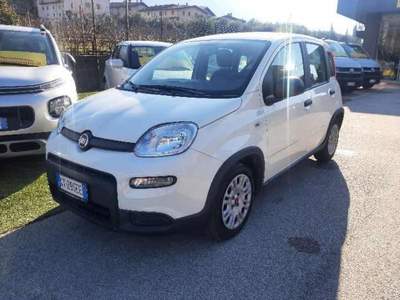 Fiat Panda 1.0 FireFly S&S Hybrid Bianco usata Arco