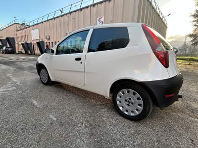 Fiat Punto Fiat Punto 1.2 Easy Bianco usata Frosinone