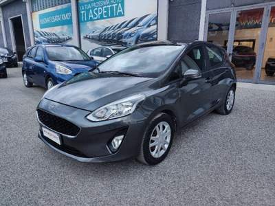 Ford Fiesta 1.5 TDCi 5 porte Plus Grigio usata San Nicola Manfredi