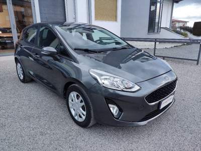 Ford Fiesta 1.5 TDCi 5 porte Plus Grigio usata San Nicola Manfredi
