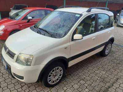 Fiat Panda  Bianco usata Pignataro Interamna