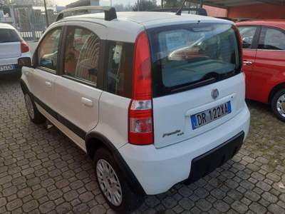 Fiat Panda  Bianco usata Pignataro Interamna