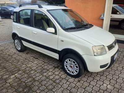 Fiat Panda  Bianco usata Pignataro Interamna