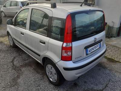 Fiat Panda  Argento usata Pignataro Interamna
