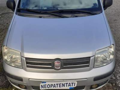 Fiat Panda  Argento usata Pignataro Interamna