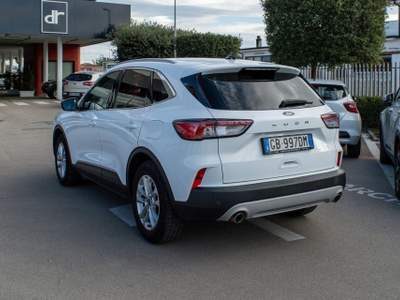 Ford Kuga 1.5 EcoBlue 120 CV 2WD Titanium Bianco usata Fondi