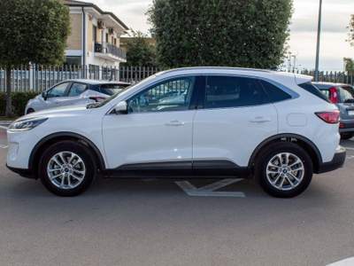 Ford Kuga 1.5 EcoBlue 120 CV 2WD Titanium Bianco usata Fondi