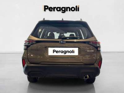 Subaru Forester FREE e-BOXER 2.0 CVT AUTOMATICA Verde usata Firenze