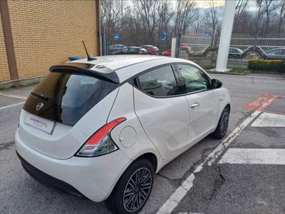 Lancia Ypsilon 3ª serie -  1.0 FireFly 5 porte S&S Hybrid Oro Bianco usata Potenza