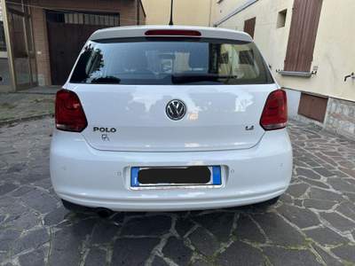 Volkswagen Polo 1.4 5 porte Comfortline NEOPATENTATI Bianco usata Reggio Emilia