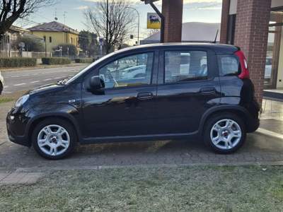Fiat Panda 1.0 FireFly S&S Hybrid Nero usata Limbiate