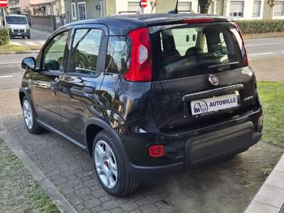 Fiat Panda 1.0 FireFly S&S Hybrid Nero usata Limbiate