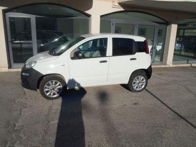 Fiat Panda  Bianco usata Vasto