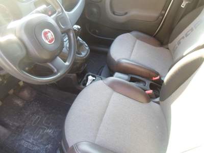 Fiat Panda  Bianco usata Vasto