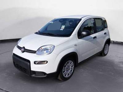 Fiat Panda 1.0 70cv Hybrid Bianco usata Arzachena