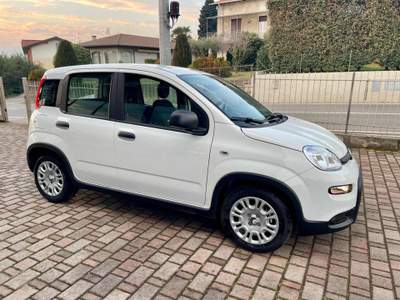 Fiat Panda 1.0 FireFly S&S Hybrid - KM0 Bianco usata Cadrezzate con Osmate