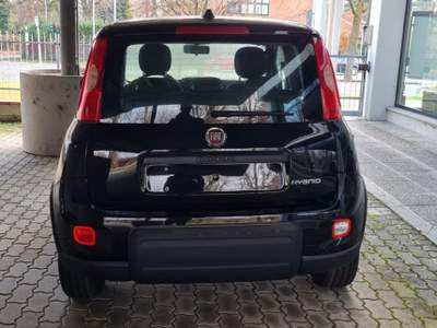 Fiat Panda 1.0 FireFly S&S Hybrid Nero usata Castelnuovo Rangone