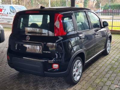 Fiat Panda 1.0 FireFly S&S Hybrid Nero usata Castelnuovo Rangone