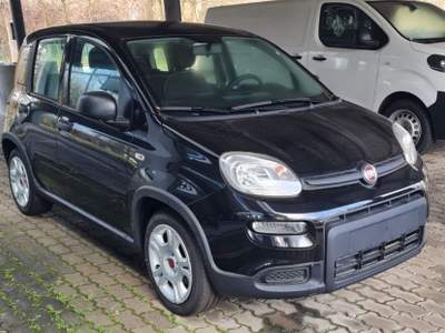 Fiat Panda 1.0 FireFly S&S Hybrid Nero usata Castelnuovo Rangone