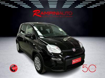 Fiat Panda 1.0 FireFly S&S Hybrid Nuova Pronta Consegna Nero usata Gubbio