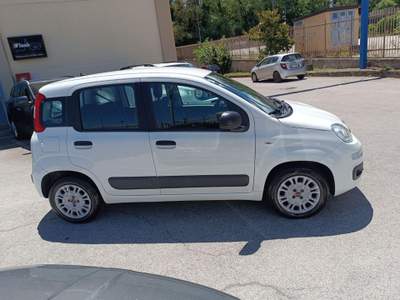 Fiat Panda 1.2 Easy Venduta Bianco usata POTENZA