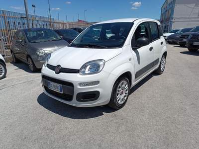 Fiat Panda 1.2 Easy Venduta Bianco usata POTENZA