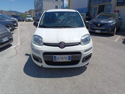 Fiat Panda 1.2 Easy Venduta Bianco usata POTENZA