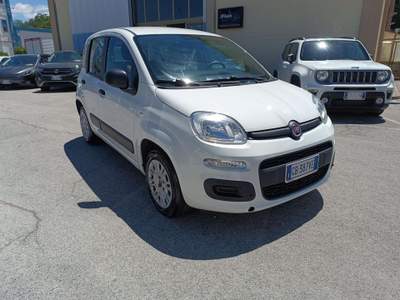 Fiat Panda 1.2 Easy Venduta Bianco usata POTENZA