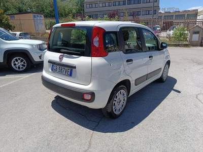 Fiat Panda 1.2 Easy Venduta Bianco usata POTENZA