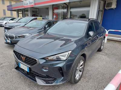 Cupra Formentor 2.0 TDI 4Drive DSG Grigio usata Bassano del Grappa