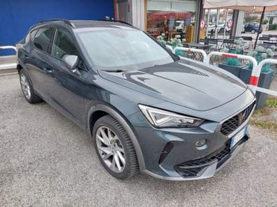 Cupra Formentor 2.0 TDI 4Drive DSG Grigio usata Bassano del Grappa