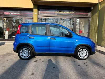 Fiat Panda 1.0 Hybrid Blu/Azzurro usata Cantù